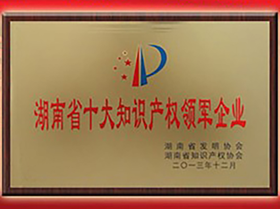 熱烈慶祝&ldquo;湘潭恒欣&rdquo;被評(píng)為&ldquo;首屆湖南省十大知識(shí)產(chǎn)權(quán)領(lǐng)軍企業(yè)&rdquo;