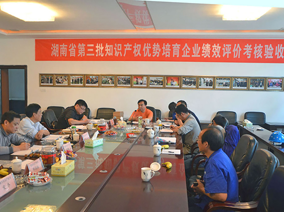 熱烈慶祝湘潭恒欣順利通過&ldquo;湖南省優(yōu)勢(shì)培育企業(yè)&rdquo;項(xiàng)目驗(yàn)收