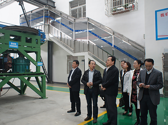 國家工商聯(lián)副主席謝經榮一行蒞臨我公司考察指導工作