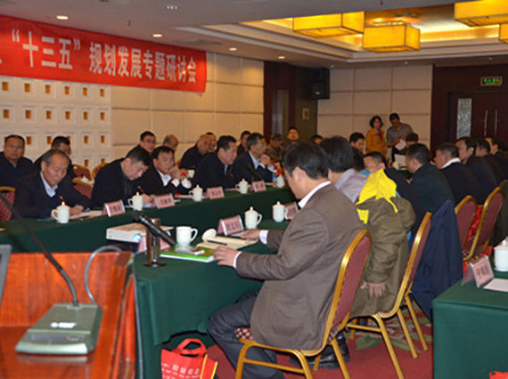 【湘潭恒欣】承辦&ldquo;國家礦用單軌吊和架空乘人裝置&lsquo;十三五&rsquo;規(guī)劃發(fā)展專題研討會&rdquo;