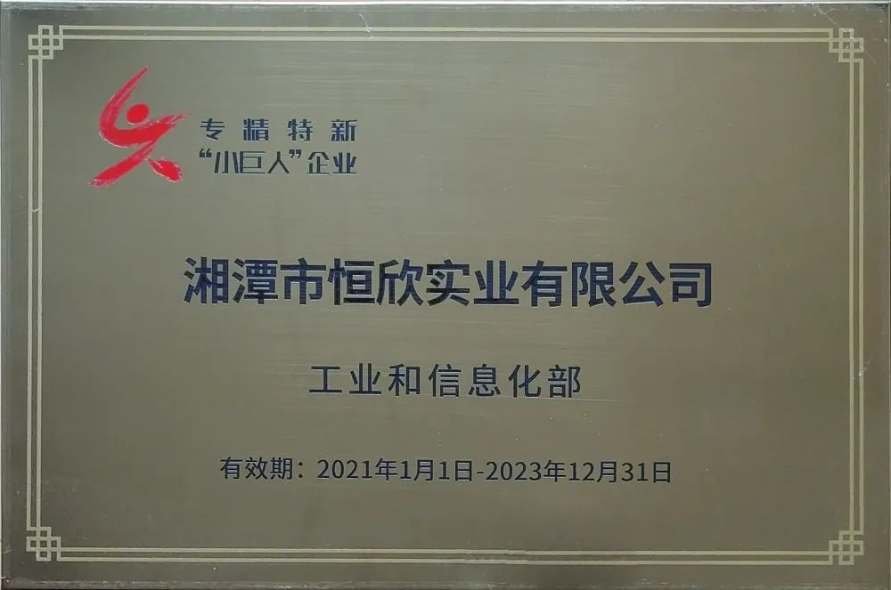 我司獲工信部授牌國家專精特新&ldquo;小巨人&rdquo;企業(yè)